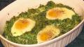 Baked Eggs in Zucchini  (The Vegetarian Epicure) created by KateL