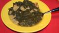 Traditional Southern Greens (Mustard, Turnip or Collards) created by cajunhippiegirl