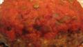 Salsa Turkey Meatloaf created by Engrossed