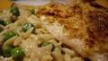 Italian Style Broiled Tilapia created by Columbus Foodie
