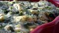 Bikini Bottom Seaweed Pie (Spinach Really) from Sponge Bob created by Andi Longmeadow Farm