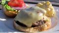 Grilled Pepper Jack Jalapeno Burgers created by lazyme