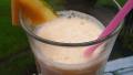 Cantaloupe Dream Smoothie created by Mandy