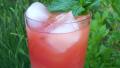 Refreshing Watermelon Juice created by Rita1652