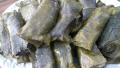 Elaine's Dolmathes (Stuffed Grape Leaves) created by luvinlif2k