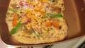 Grilled Chicken Margherita Tostada Pizzas created by Anonymous