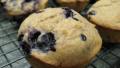 Blueberry Muffins created by MsSally