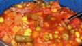 Crock Pot  Hearty Hobo Soup - Vegetarian created by mydesigirl