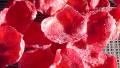 Homemade Crystallised Rose Petals created by A Good Thing