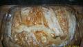 No Knead Italian Rustic Bread - Recipe Has been Corrected! created by kraziegirl24