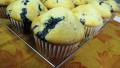 Blueberry Banana Muffins (Gift Mix in a Jar) created by loof751