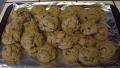 Loaded Oatmeal Chocolate Chip Spice Cookies created by Tammie83
