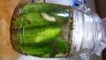 East Side New York Half-Sour Pickles created by Amberngriffinco