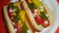 Chicago-Style Hot Dogs created by ChefLee