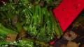 Easy Broccolini With Oyster Sauce created by BarbryT