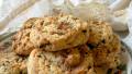 Lacemaker's Cattern Cakes - English Spiced Sugar Cookies created by French Tart