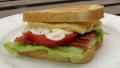 BLT Fried Egg-And-Cheese Sandwich created by lazyme