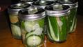 Small-Batch Refrigerator Dill Pickles created by Edesia