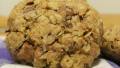 Finally Healthy Chocolate Chip Cookies! created by Lalaloula