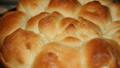 Easy Potato Rolls Recipe - Food.com