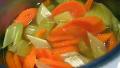 Simple Carrots and Celery Side Dish created by Derf2440