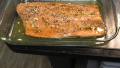 Baked Salmon created by Anonymous
