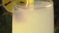 Spiced Lemonade created by Pneuma