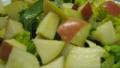 Fruity Vinaigrette Dressing & Salad created by brokenburner