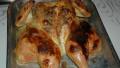 Brined Roasted Chicken - 500 Degrees created by Sweetiebarbara