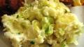 Colcannon created by gailanng