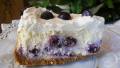 The Best Blueberry Cheesecake created by Seasoned Cook