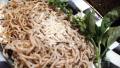 Easy Pesto Shirataki Noodles created by FLKeysJen