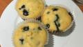 Simple Vanilla Muffins created by Heidi M.