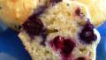 New England Blueberry Muffins created by HokiesMom