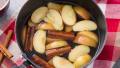 Apple Cinnamon Crock Pot Potpourri created by anniesnomsblog