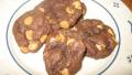 Devil's Food Peanut Butter Chip Cookies created by AcadiaTwo