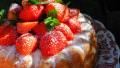 Austrian Strawberry Torte created by French Tart