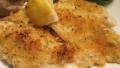 Broiled Tilapia Parmesan created by Lynn in MA