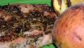 Grilled Pork Chops With Peaches (Ww) created by teresas