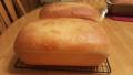 Home-Style Yeast Bread created by Doods