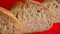 Sourdough Whole Wheat Bread created by Marg CaymanDesigns 