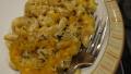 Herbed Macaroni and Cheese created by CaliforniaJan