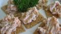 Salmon Spread With Two Ingredients created by CookinDiva