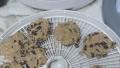 Oatmeal Cookies (Raw Vegan) created by aterveen_1487