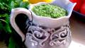 Parsley Pesto (Useful for Many Dishes!) created by Zurie