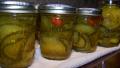 Zucchini Squash Pickles With Ginger and Lemongrass created by Rita1652