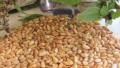 Microwave-Toasted Nuts created by BecR2400