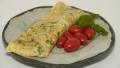 Cilantro, Red Onion and Jalapeno Omelet created by FolkDiva
