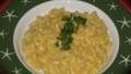 One Pot Macaroni and Cheese by Consumer Reports created by FrenchBunny
