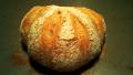 5 Minute Artisan Bread created by yapo2002